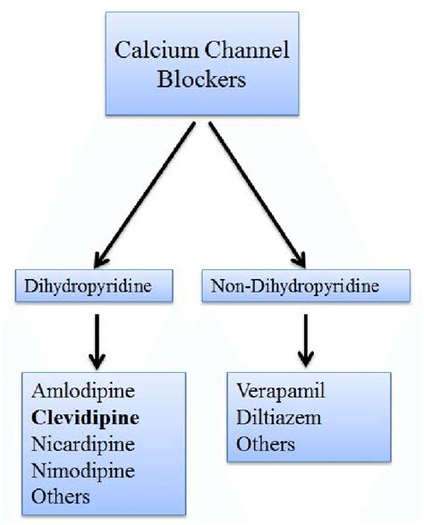 ca chanel blocker|ca channel blocker example.